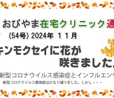 2024 54号 11月 キンモクセイに花が咲きました