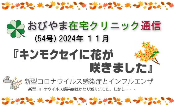 2024 54号 11月 キンモクセイに花が咲きました